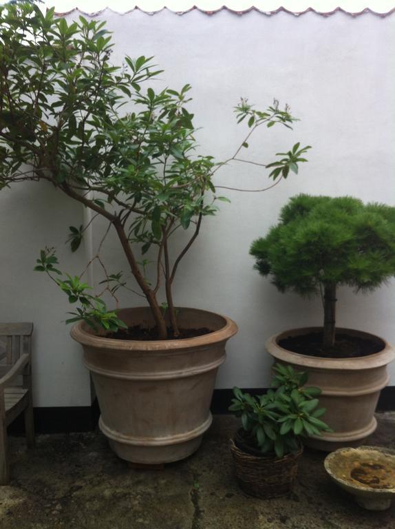 Korfuvej.Rent.A.Room كوبنهاجن المظهر الخارجي الصورة